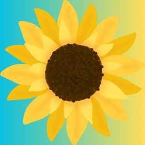 Sonia, un thérapeute holistique à Le Havre